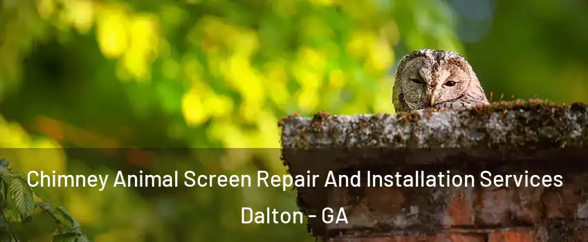  Chimney Animal Screen Repair And Installation Services Dalton - GA