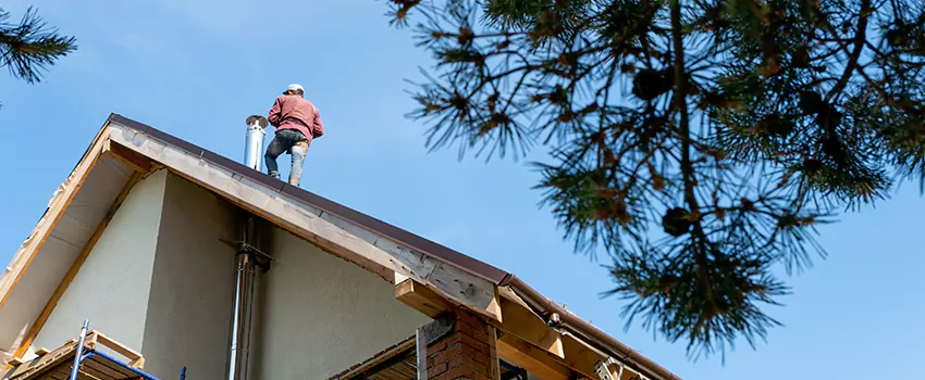 Birds Removal Contractors from Chimney in Dalton, GA
