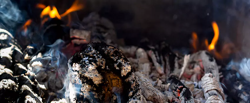 Creosote Removal Experts in Dalton, GA
