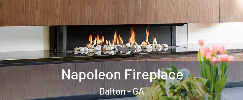  Napoleon Fireplace Dalton - GA